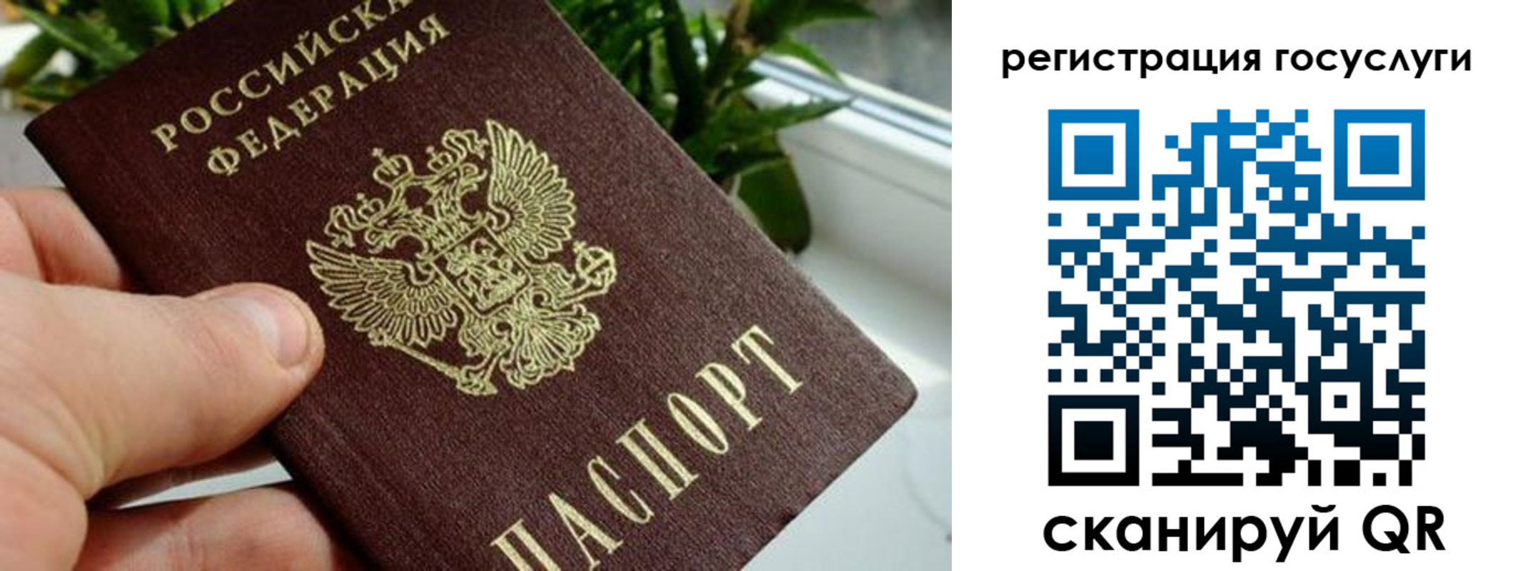 прописка для кредита в Ельне